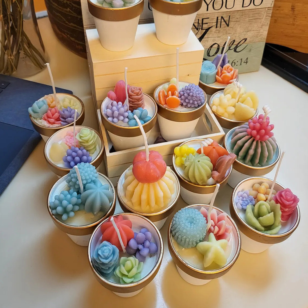 6pcs Succulent Silicone Candle - Candle Making Experience recension och pris